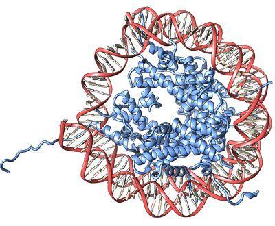 Protein Data Bank abriga informações sobre estruturas de moléculas biológicas (Imagem: wwPDB)
