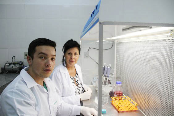 Os pesquisadores Alencar Machado e Ivana da Cruz no Laboratório de Biogenômica (Foto: Lucas Casali/UFMS)