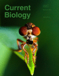 Capa do periódico Current Biology (Imagem: Current Biology)